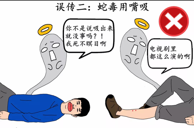 竹叶青的毒性多强，比五步蛇还强20倍