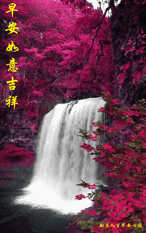 周五问候语简短暖心短句，周五，早安暖心问候晨语