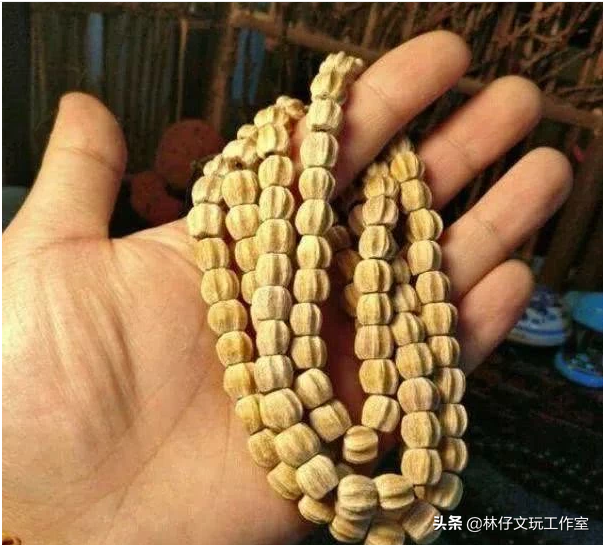 适合做手串的植物种子，适合做手串的植物种子是什么（这些路边捡的树籽儿串成手串）