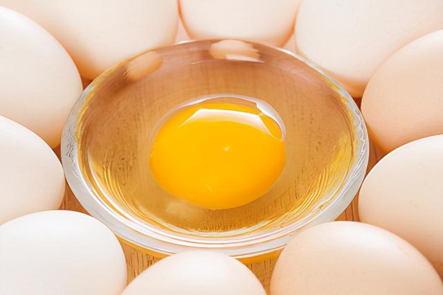 狗狗不能吃的东西，狗狗什么东西不能吃的（被兽医列入“黑名单”的7种食物）