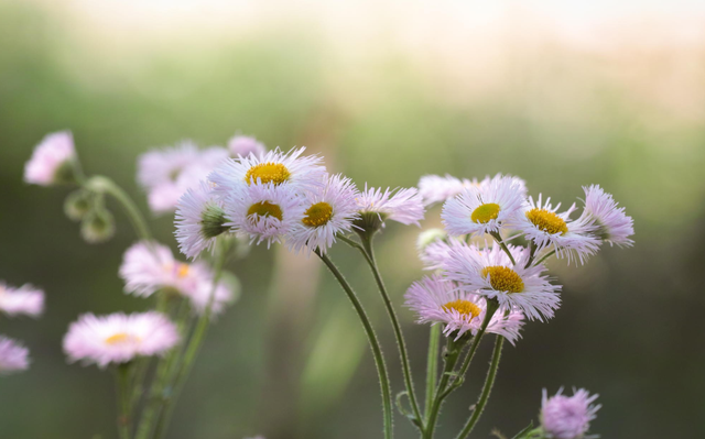 隐忍不发怎么过，隐忍不发是成语吗（怒而不发的星座）