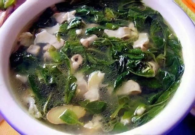 做清明果的草叫什么草，做清明果的那种草叫什么（春天不可错过的4种野菜）