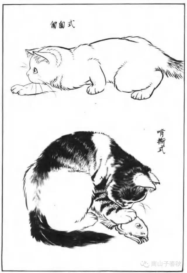 画猫动态技法百图,画小猫咪又简单又漂亮
