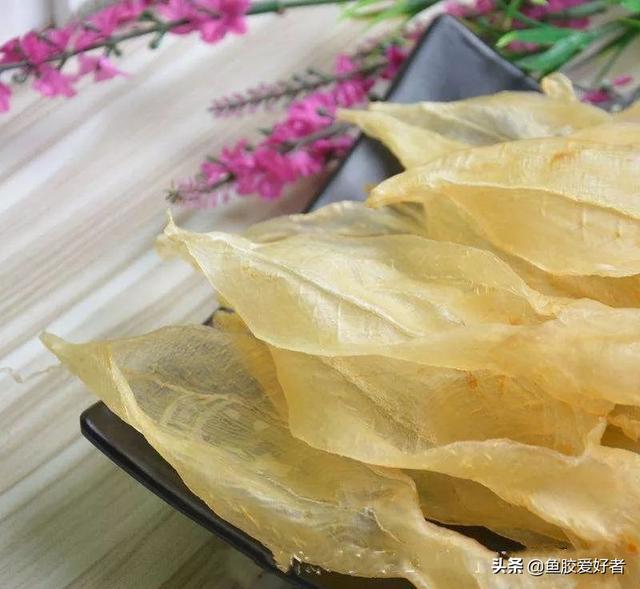 鱼胶和花胶哪个更好，花胶好还是鱼胶好些（花胶跟鱼胶有区别吗）