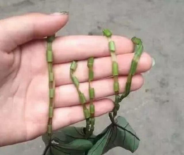 如何用纸做简单的可以打皮筋的枪，如何用纸做一个皮筋枪（这些80后的玩具你玩过几样）