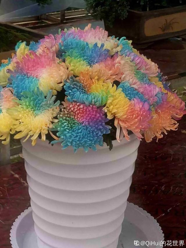 荷花有几种颜色，莲花有几种颜色分别是象征什么（1盆菊花售价1.2万）