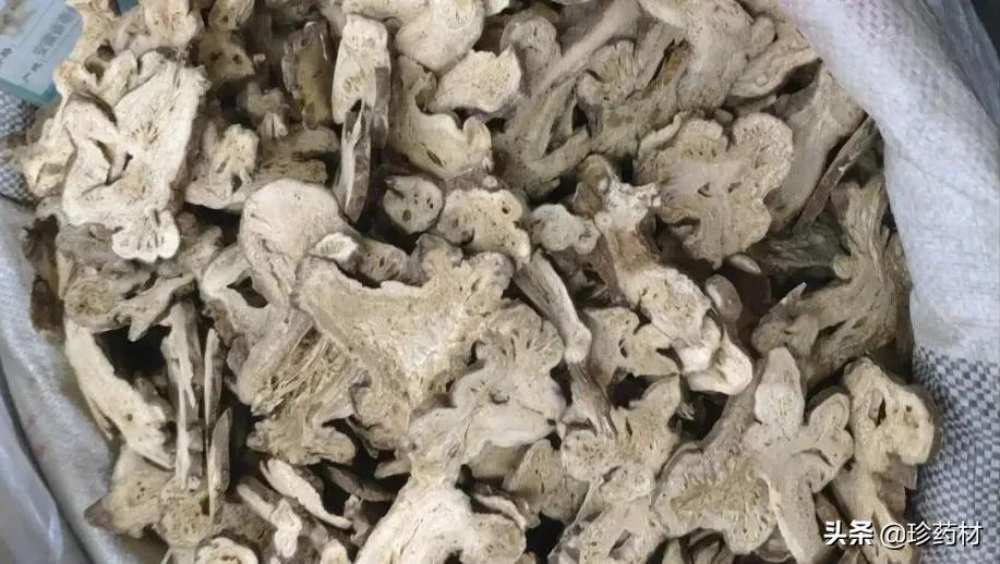 丹参多少钱一斤，丹参种子多少钱一斤（丹参、厚朴、五味子、蒺藜、白术等）