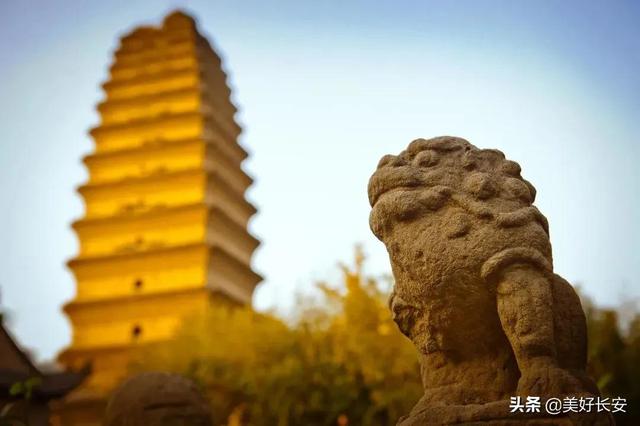 大雁塔是世界文化遗产吗，小雁塔是世界文化遗产吗（如何区分大雁塔和小雁塔）