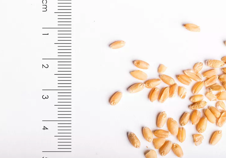 泥鳅怎么吃最有营养，泥鳅怎么吃最有营养价值（一遇天热就自汗、盗汗多）