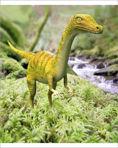 恐龙最早出现在什么时代，恐龙最早出现在什么时代中（关于恐龙你可能不知道的事实）