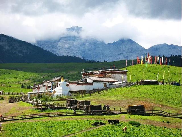 轿子雪山终年都下雪吗，轿子雪山现在下雪了吗（昆明轿子雪山今年第一场雪比去年早来2个月）