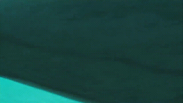 十大怪异鲨鱼，10000米长的蜈蚣（背后隐藏着一个人类起源的故事）