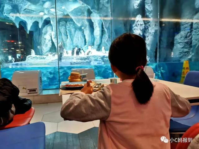 珠海长隆游玩攻略，珠海长隆游玩攻略图（带娃去珠海长隆该怎么玩）