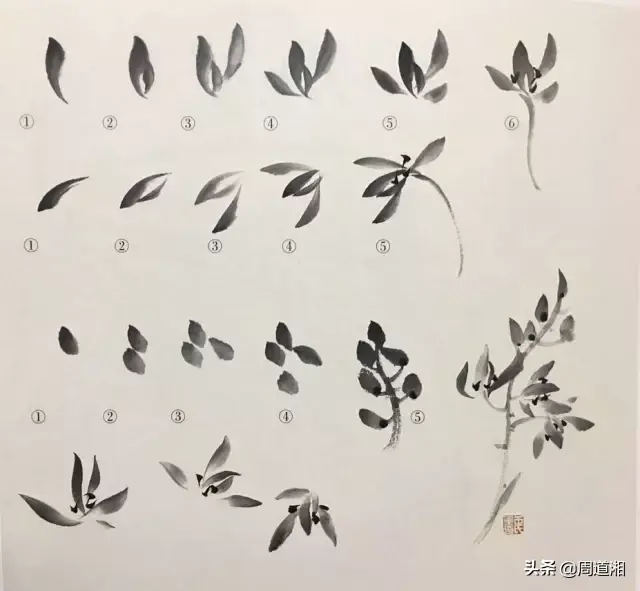 草的简笔画怎么画，猪笼草的简笔画怎么画（兰草的画法）