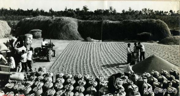 一大二公三高四纯是什么意思，一大二公三纯四平均是什么意思（把人民公社优缺点）