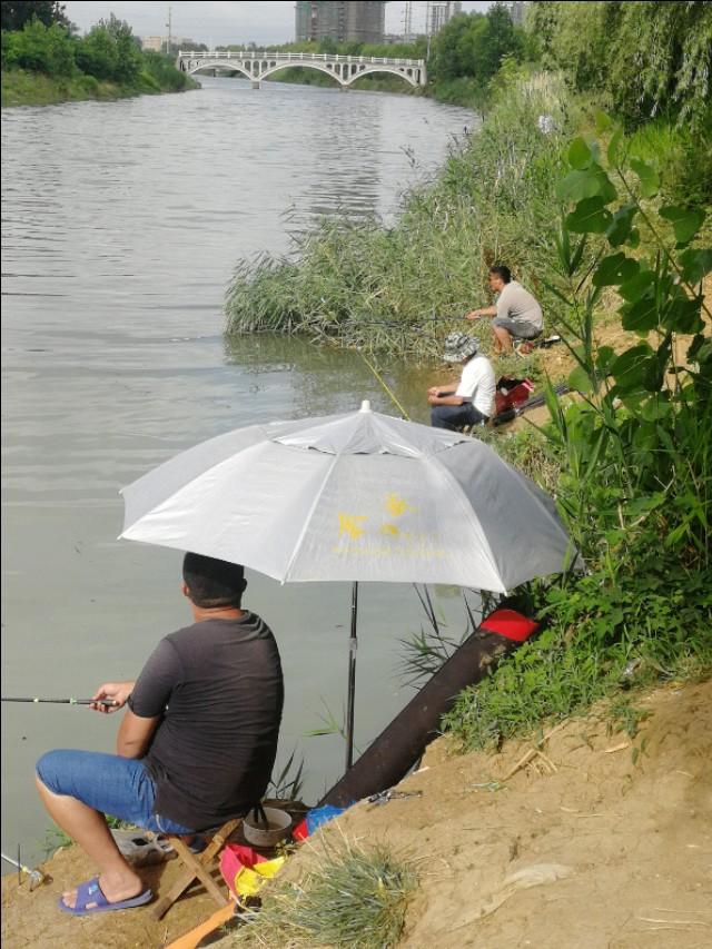 在家里面怎么养蚯蚓，家里面如何养蚯蚓（大爷用蚯蚓钓鱼二十年的配方）