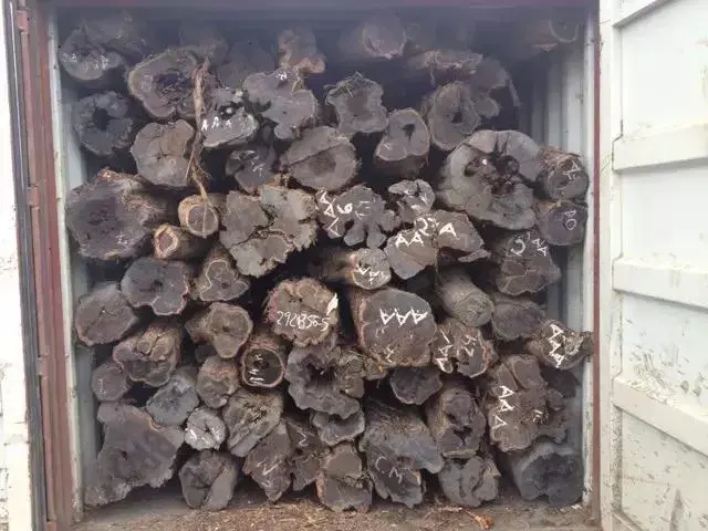 缅甸花枝是红木吗，缅甸花枝是红木吗值钱吗（18种濒危管制红木木种盘点）