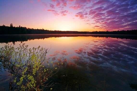 但求无愧于心上句是什么，岂能尽如人意 但求无愧于心（岂能尽如人意，但求无愧于心）