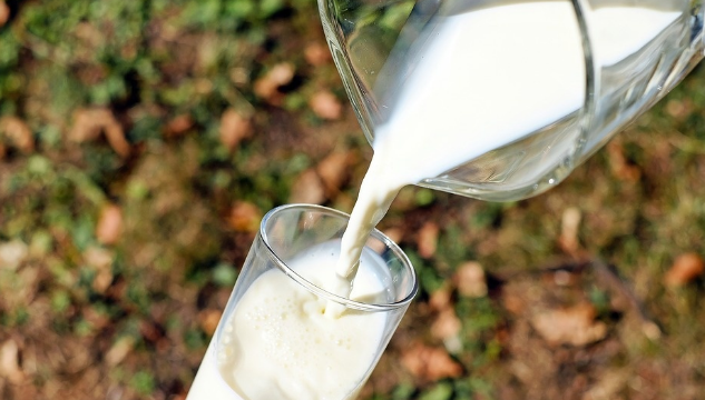 过期牛奶的用途，过期牛奶的用途 过期牛奶可以洗脸吗（牛奶过期了拿来养花）