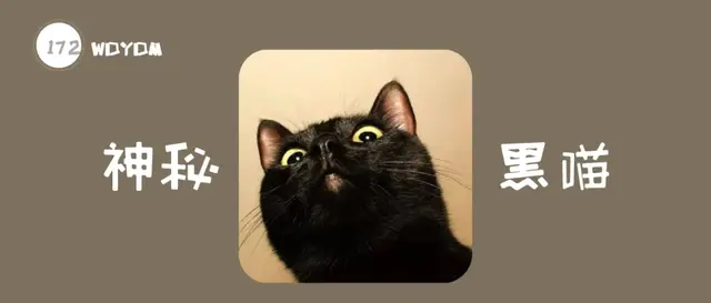 黑猫是什么品种，黑猫白爪是什么品种（古书记载“辟邪招财”的黑猫都有哪些品种）