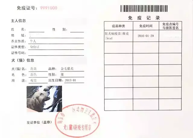 2021年办狗证要多少钱，2021年办狗证要多少钱_办了狗证邻居举报还有用吗（南京养犬登记证办理攻略来啦）