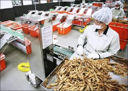 买红参怎么挑选 红参怎么保存最好，买红参怎么挑选（长辈滋补最佳红参怎么挑）