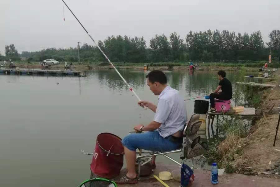 别怪鲤鱼太狡猾，掌握这些技巧轻松钓获大鲤鱼