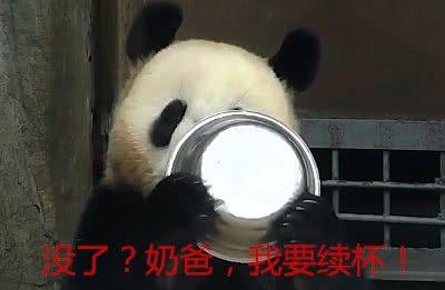 食铁兽是谁的坐骑，熊猫食铁兽是谁的坐骑（蚩尤兵败是大熊猫拖了后腿）