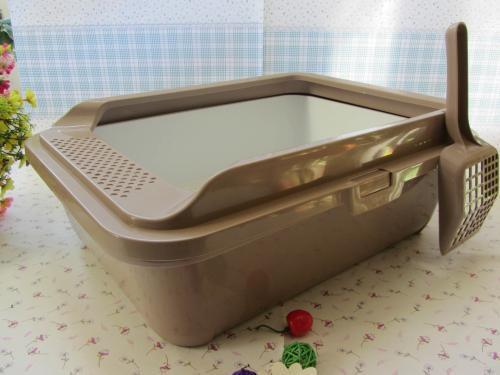 猫得了猫癣抹什么药膏，猫癣用的药膏（猫咪有猫藓擦什么药膏）