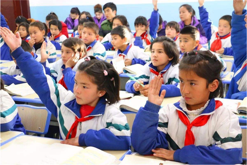 上海市民办小学（上海多所私立小学停止办学）