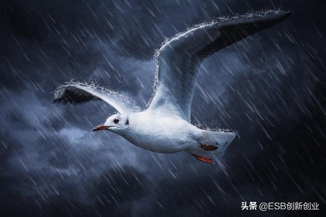 潜力股是什么意思，形容一个人是潜力股是什么意思（这样的人才叫“潜力股”）