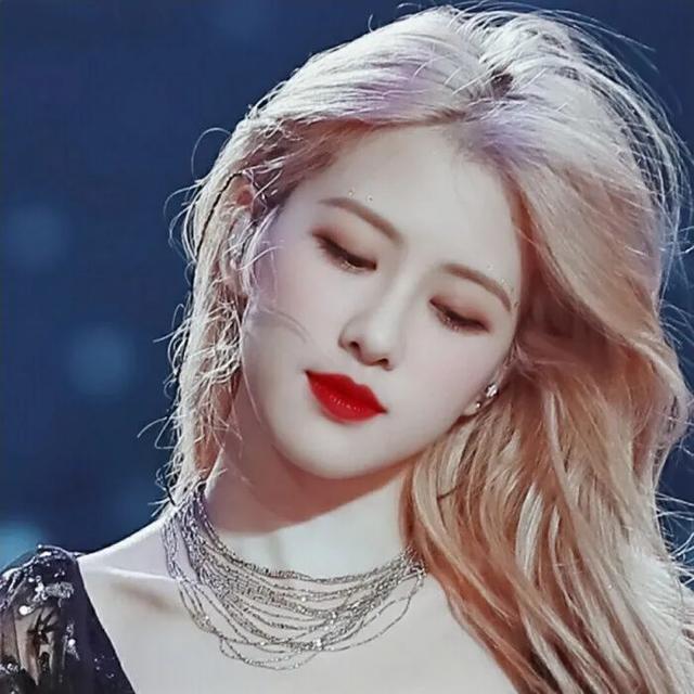 /江樱/ 澳洲野玫瑰朴彩英头像1弹微信，/江樱/ 澳洲野玫瑰朴彩英头像1弹（Rose头像壁纸澳洲野玫瑰）