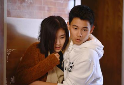 李兰迪演过哪些电视剧,张新成电视剧(李兰迪出演的11部剧)