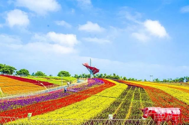 东部华侨城大峡谷，东部华侨城大峡谷人造瀑布叫什么（东部华侨城暑假欢乐曲）