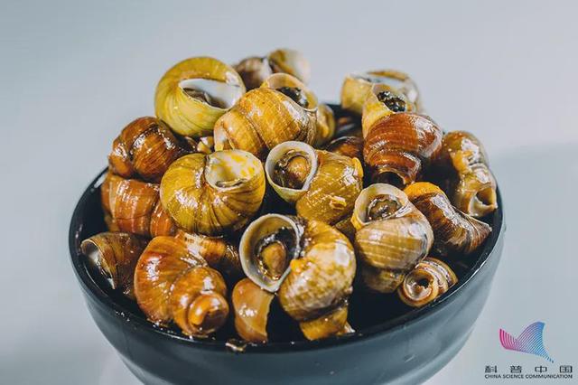 螺蛳粉是什么材料做的，螺蛳粉的制作方法和原料（常吃螺蛳粉竟会致癌）