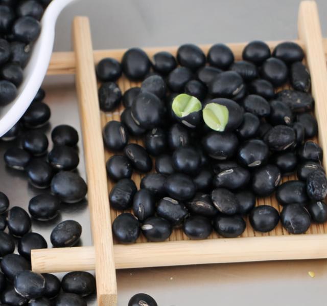 我在种植的豆类叫青仁黑豆，青仁黑豆与黑豆一样吗（买黑豆时，青仁黄仁有啥区别）