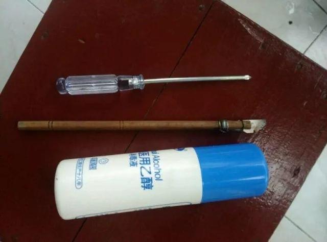 最漂亮的棒棒糖图片，如何画出漂亮的棒棒糖（长寿花半年养成“长寿树”）