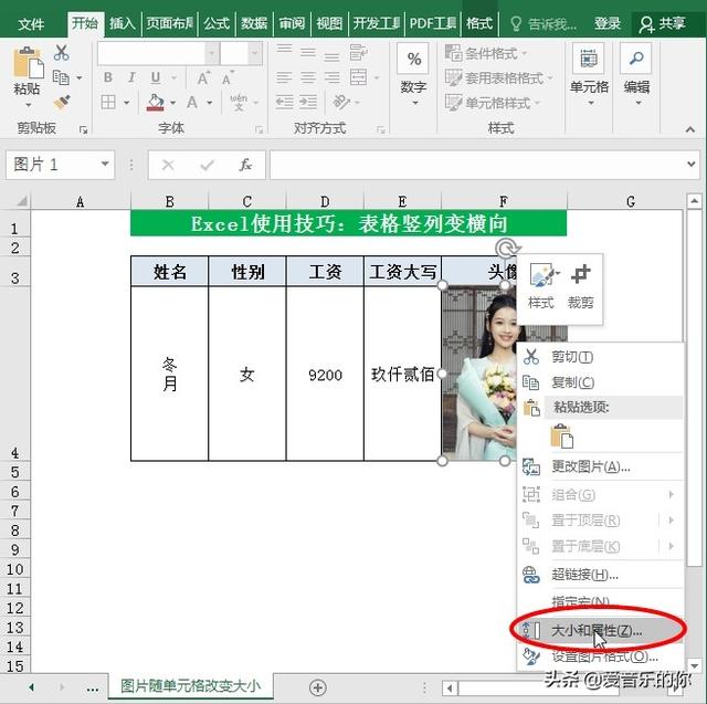 excel表格单元格怎么调整大小，Excel教程（图片随单元格改变大小）