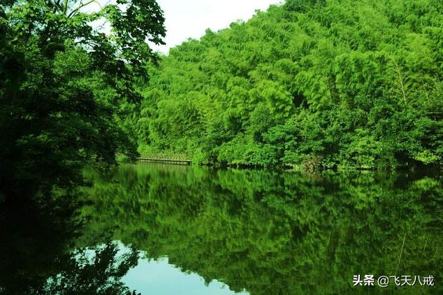 南京景点介绍，南京一日游必去景点推荐（南京九个不得不去的小众景点）