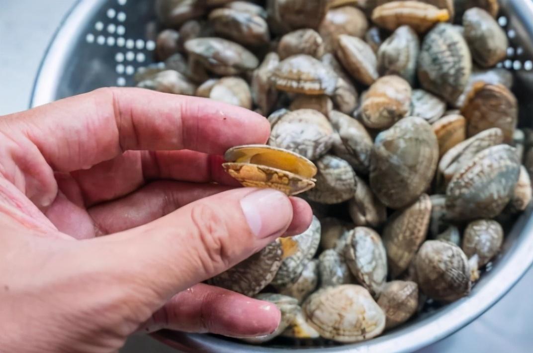 花甲吐沙要多长时间，花甲吐沙多长时间最好（20分钟吐干净）