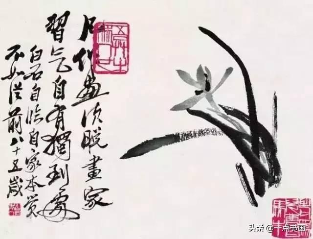 兰花的品质与精神，梅花代表了什么（兰花之美，君子之德）