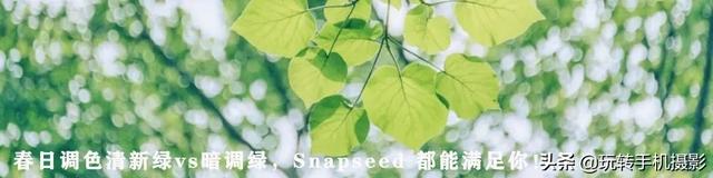 手机上怎么自由裁剪图片，如何在手机上裁剪出一样大小的图片呢（Snapseed终于附上说明书）