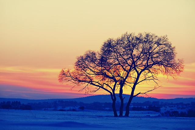移舟泊烟渚日暮客愁新的意思，为排心中悲愤写一首山水诗