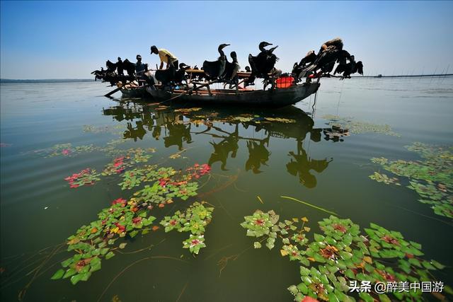 东平湖旅游，东平湖旅游区（渔业资源丰富）