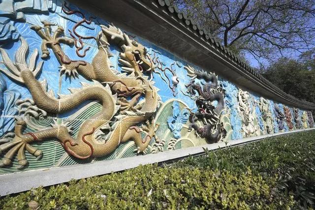 神奇的动物有哪些，拥有超能力的八种神奇动物（这七国的神奇动物）