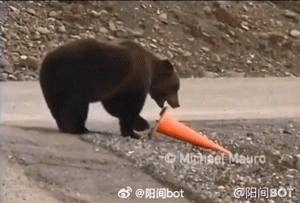 树枝666是什么梗，小黑子树枝666是什么梗（是一场B站网友的群体狂欢）