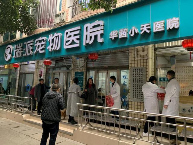 哈尔滨宠物医院，十大哈尔滨宠物医院排名（瑞派宠物医院告诉你最牛医院的正确打开方式）