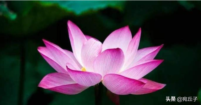 三月是桃月六月是什么月，三月是桃月六月是什么月份（每个月还有不同称呼）