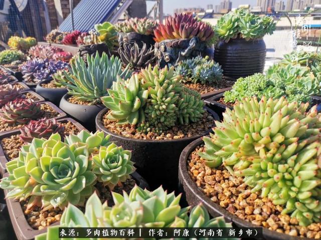 2021九·一八事变是多少周年，2021年是九一八事变的几周年（献给2021最好的春天）