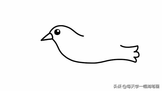 橄榄枝怎么画，橄榄枝怎么画好看（每天学一幅简笔画--白鸽子简笔画的画法）